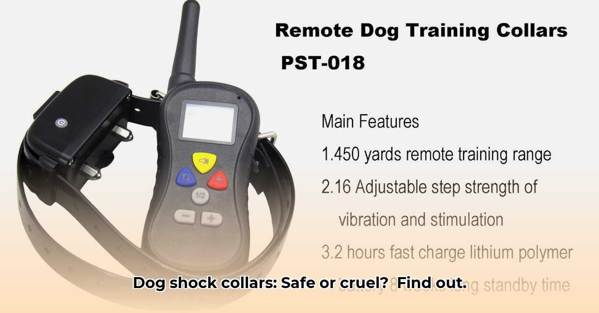 dog-shock-collar-tractor-supply